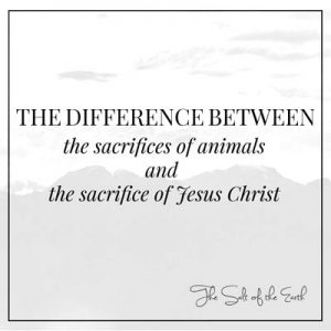 Sacrifice of animals and Jesus