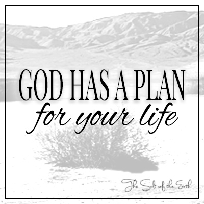 Dios tiene un plan para tu vida