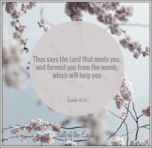 The Lord made you and formed you from the womb