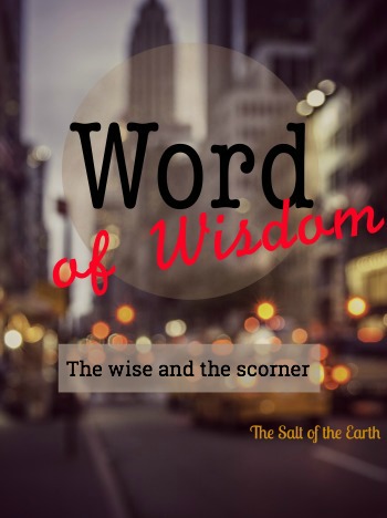 wise and the scorner