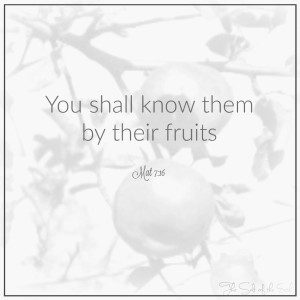 You shall know them by their fruits