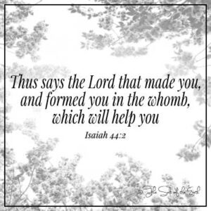 Дерево оцветает с библейским стихом Исаия 44-2 Таким образом, говорит Господь, который сделал вас и сформировал вас в том, что поможет вам