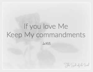 the two great commandments, If you love Me keep My commandments