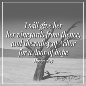 image desert with tree and Bible scripture Hosea 2-15 Valley of Achor door of hope