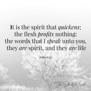სიტყვები, რომლებსაც იესო ლაპარაკობს, არის სული და სიცოცხლე