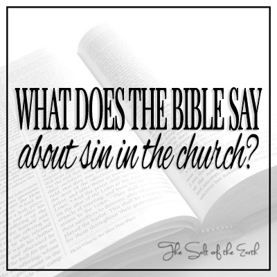 चर्च में पाप के बारे में बाइबल क्या कहती है??