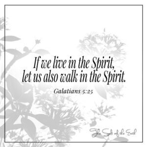 image flower plant and bible verse galatians 5-25 If we live in the Spirit let us walk in the Spirit