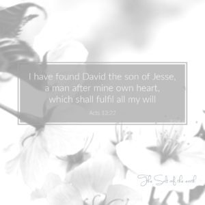 David seorang pria yang berkenan di hati Tuhan
