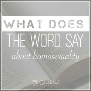 homosexuality, gay