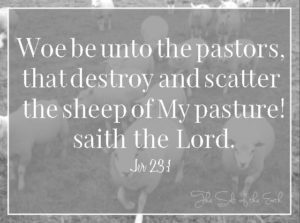 pastors leading the sheep into the abyss
