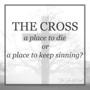 The cross a place to die or a place to sin