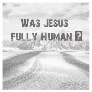 Был ли Иисус полностью человеком?, Jesus Humanity