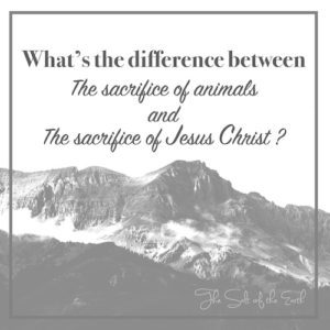 What's the difference between the sacrifice of animals and the sacrifice of Jesus Christ