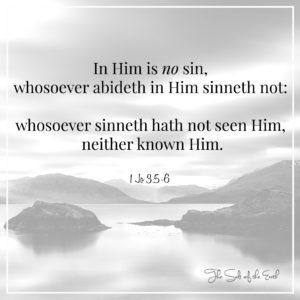 In Him is no sin, who abides in Him sin not