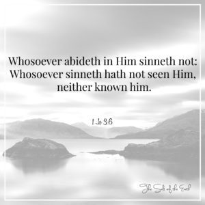 In Him is no sin, if you abide in Him you shall not sin