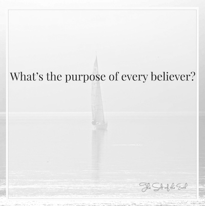 ¿Cuál es el propósito de cada creyente?