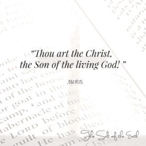 Thou art the Christ, the Son of the living God