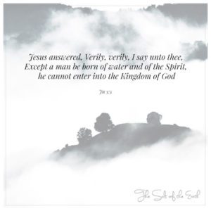 Войди в Царство Божие