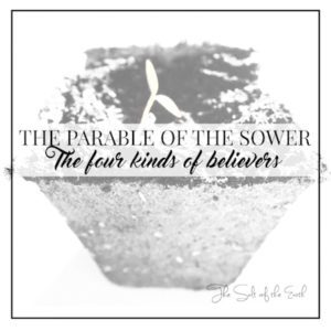 แมทธิว 13:3-43 Parable of the sower; four kinds of believer