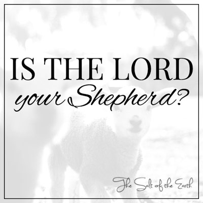 Is the Lord your Shepherd