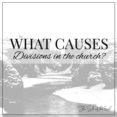 What causes divisions in the church