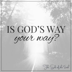 Gods way your way
