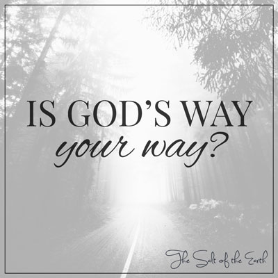 ¿Es el camino de Dios tu camino?
