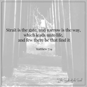 strait is the gate to life and narrow the path