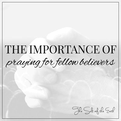 Importance of praying for fellow believers