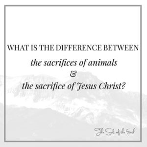 sacrifice of animals and sacrifice of Jesus Christ