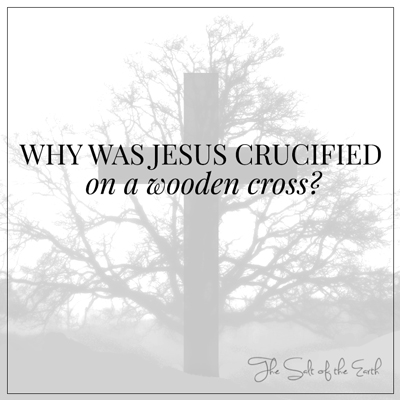 Why was Jesus crucified on a wooden tree
