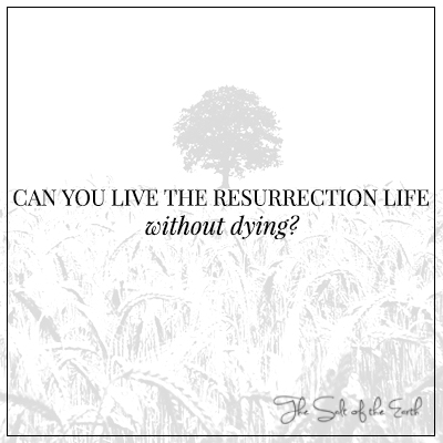 Can you live the resurrection life without dying