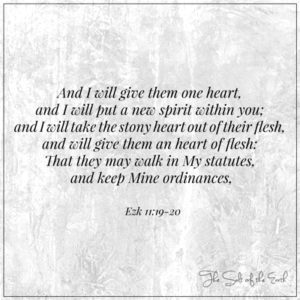 одно сердце и один дух