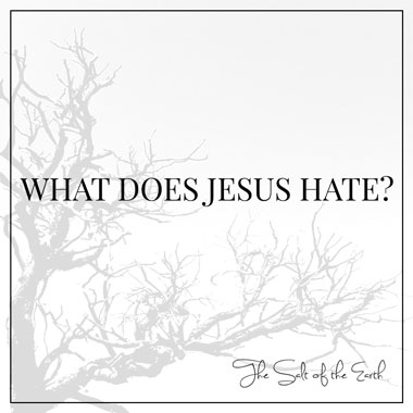 What does Jesus hate?