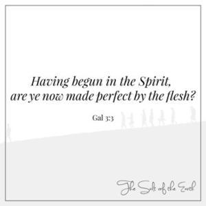 begun in the Spirit made perfect in the flesh