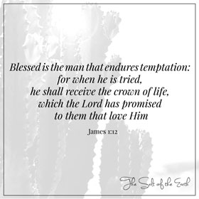 Blessed is the man that endures temptations