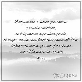 избранное поколение, королевское священство