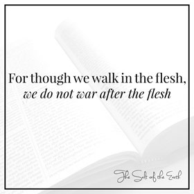 Though we walk in the flesh we do not war after the flesh