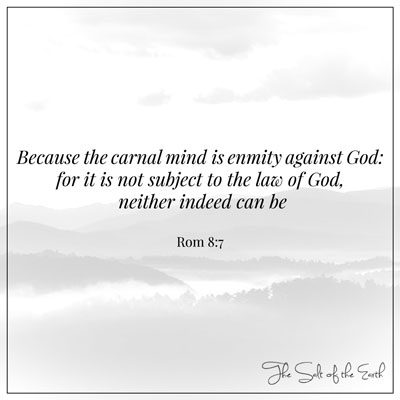 римляне 8:7 Плотские помышления – это вражда против Бога, они не подчиняются закону Божию.