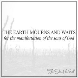 The earth mourns and waits for the manifestation of the sons of God