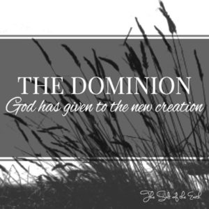 The dominion God has given to the new creation