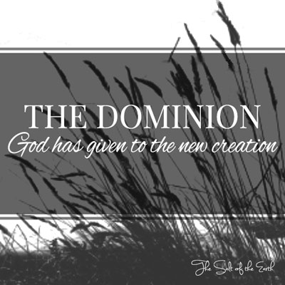 How to walk in the dominion God has given to the new creation