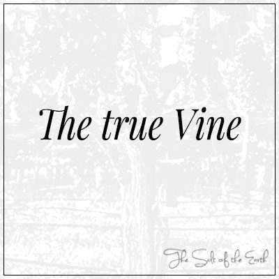 What does it mean Jesus is the true Vine Jesus Christ