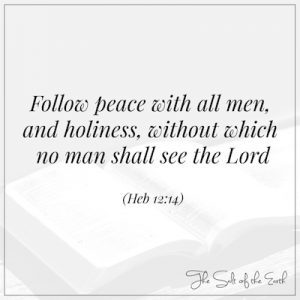 Follow peace and holiness