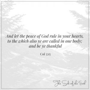 Let the peace of God rule in your hearts and be thankful