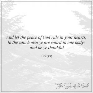 пусть мир Божий господствует в ваших сердцах и будьте благодарныердцах и будьте благодарныl Let the peace of God rule in your hearts and be thankful