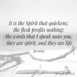 Jan 6:63 It is the spirit that quickens flesh profits nothing the words i speak are spirit and life