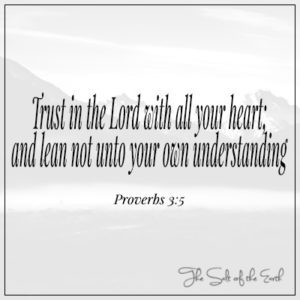 பழமொழிகள் 3:5 Trust in the Lord with all your heart and lean not unto your own understanding