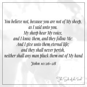 Jan 10:26-28 nie wierzycie, bo nie jesteście z moich owiec, moje owce słuchają mojego głosu