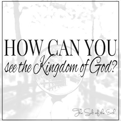How can you see the Kingdom of God